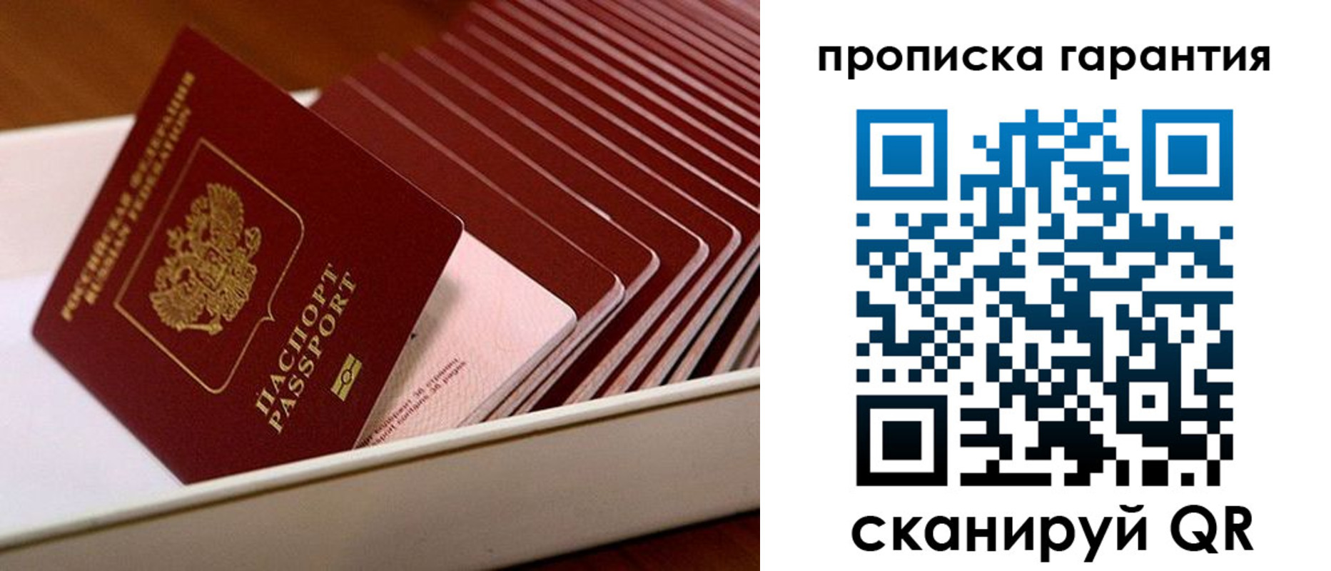 прописка поиск в Волосово
